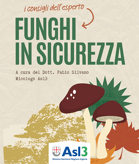 Funghi in sicurezza